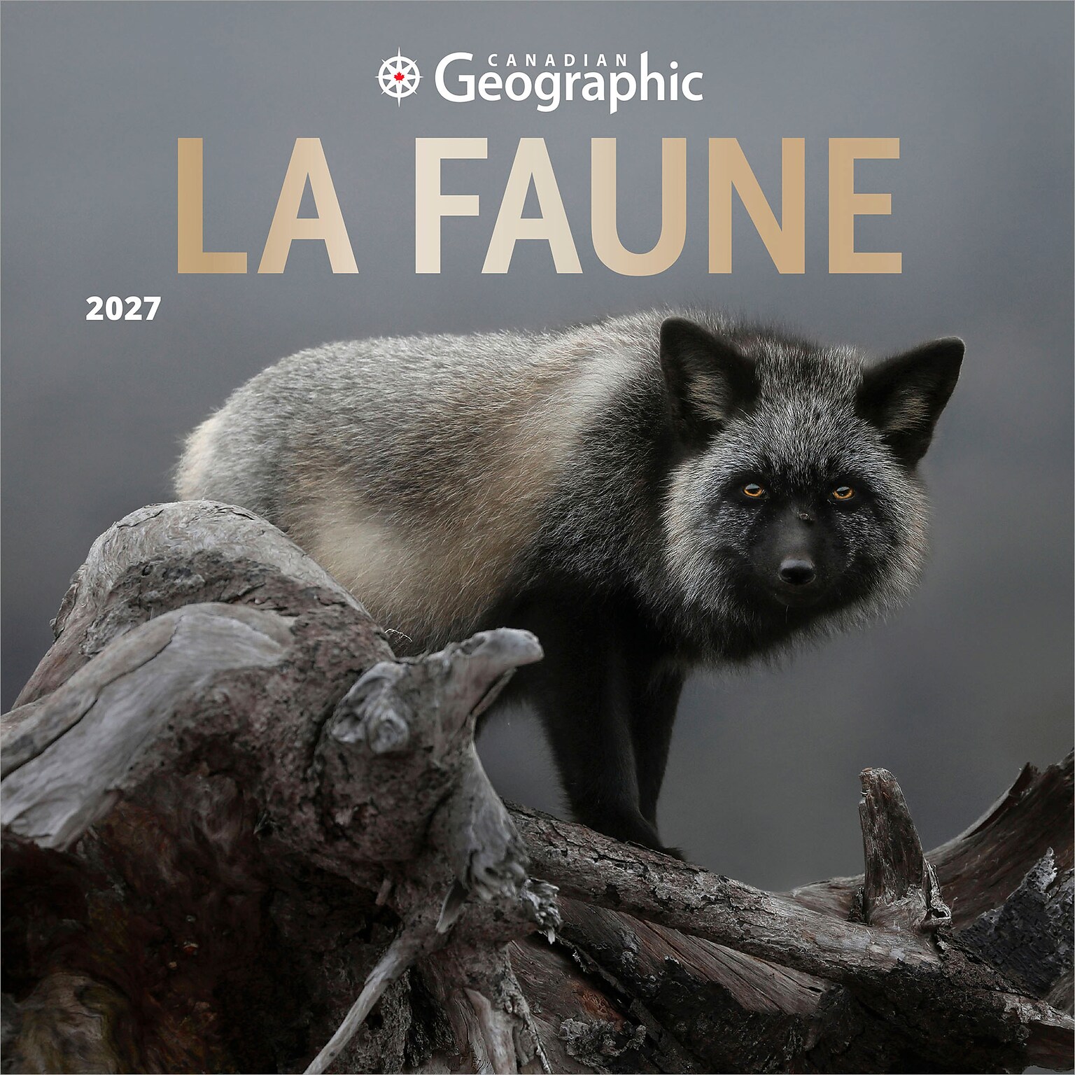 2027 BrownTrout Canadian Geographic La faune 12 x 12 Monthly Wall Calendar (9781525617928)
