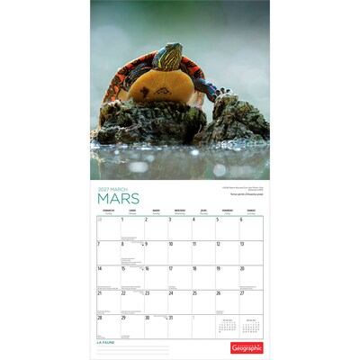2027 BrownTrout Canadian Geographic La faune 12" x 12" Monthly Wall Calendar (9781525617928)