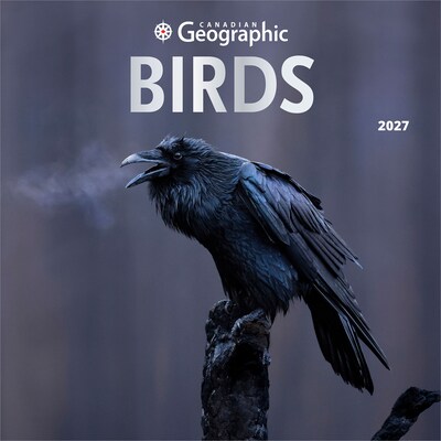 2027 BrownTrout Canadian Geographic Birds 12 x 12 Monthly Wall Calendar (9781525617195)