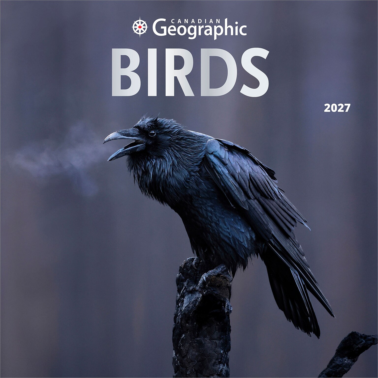 2027 BrownTrout Canadian Geographic Birds 12 x 12 Monthly Wall Calendar (9781525617195)