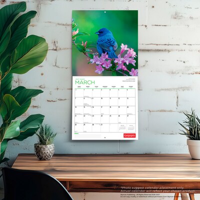 2027 BrownTrout Canadian Geographic Birds 12" x 12" Monthly Wall Calendar (9781525617195)