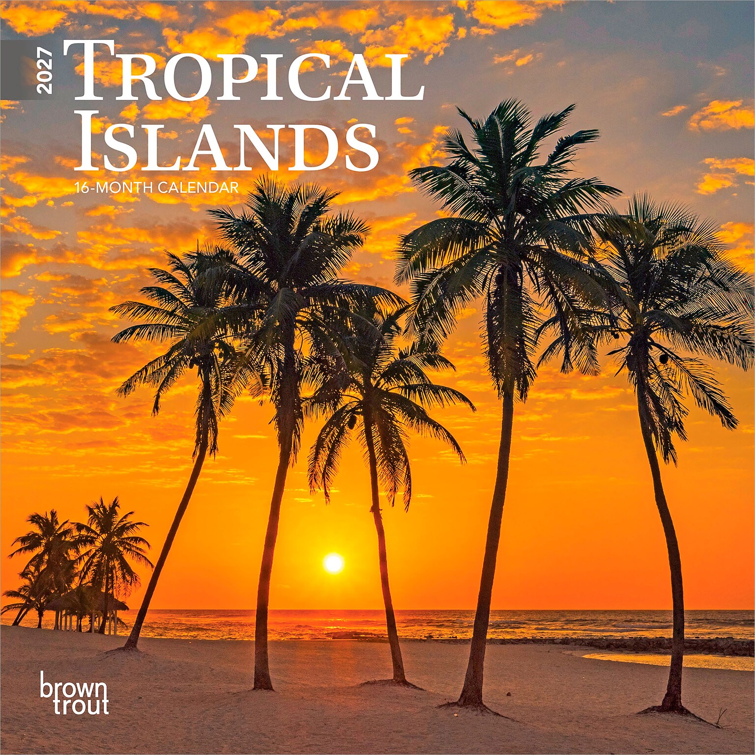 2027 BrownTrout Tropical Islands 7 x 7 Monthly Wall Calendar (9798330709694)