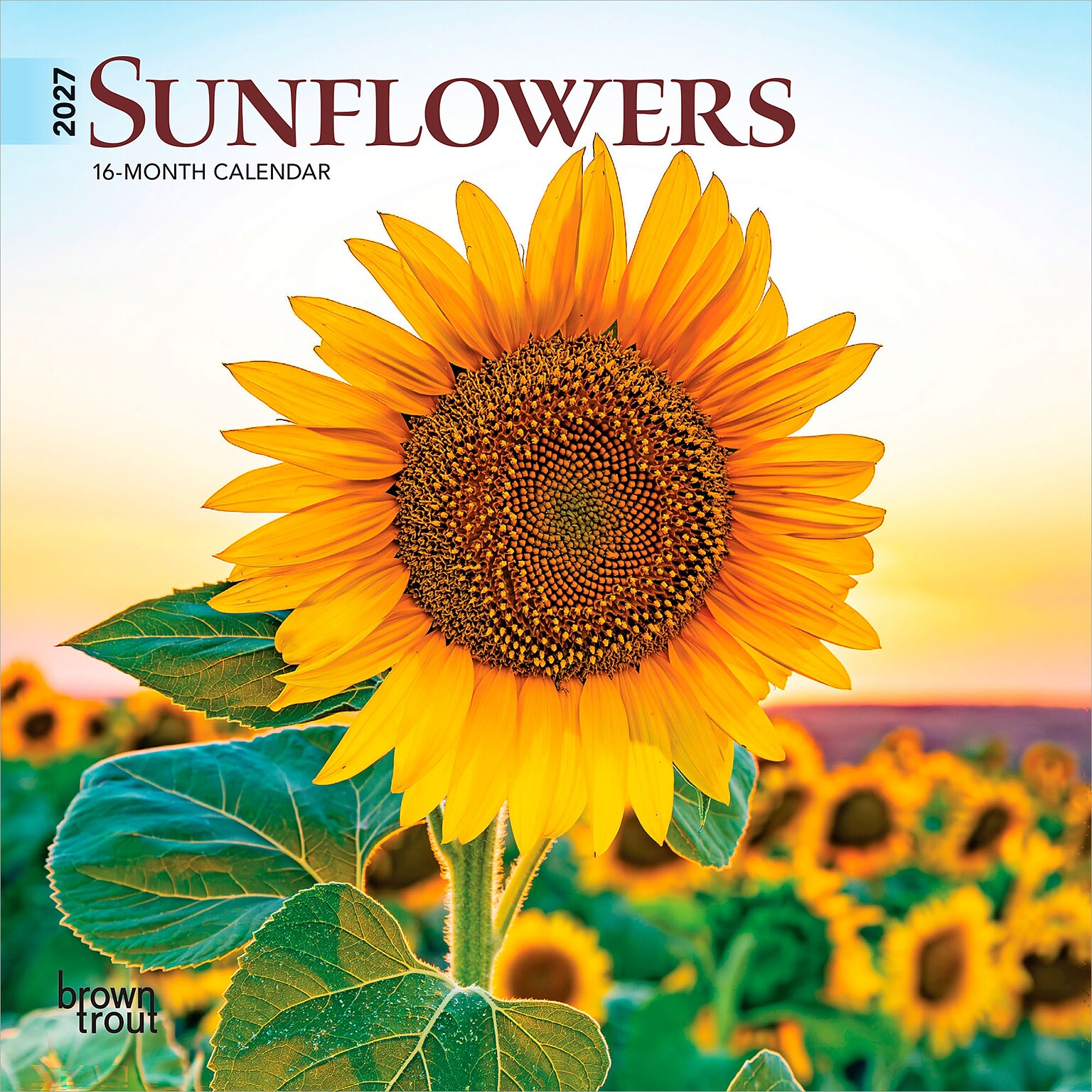 2027 BrownTrout Sunflowers 7 x 7 Monthly Wall Calendar (9798330709601)