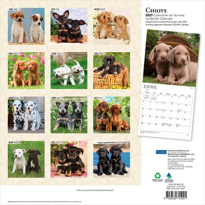 2027 BrownTrout Chiots 12 x 12 Monthly Wall Calendar (9798330715091)