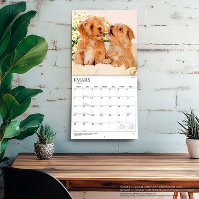 2027 BrownTrout Chiots 12" x 12" Monthly Wall Calendar (9798330715091)