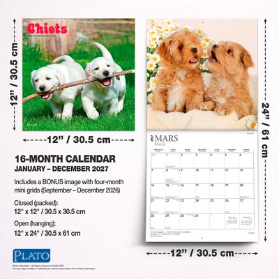 2027 BrownTrout Chiots 12" x 12" Monthly Wall Calendar (9798330715091)
