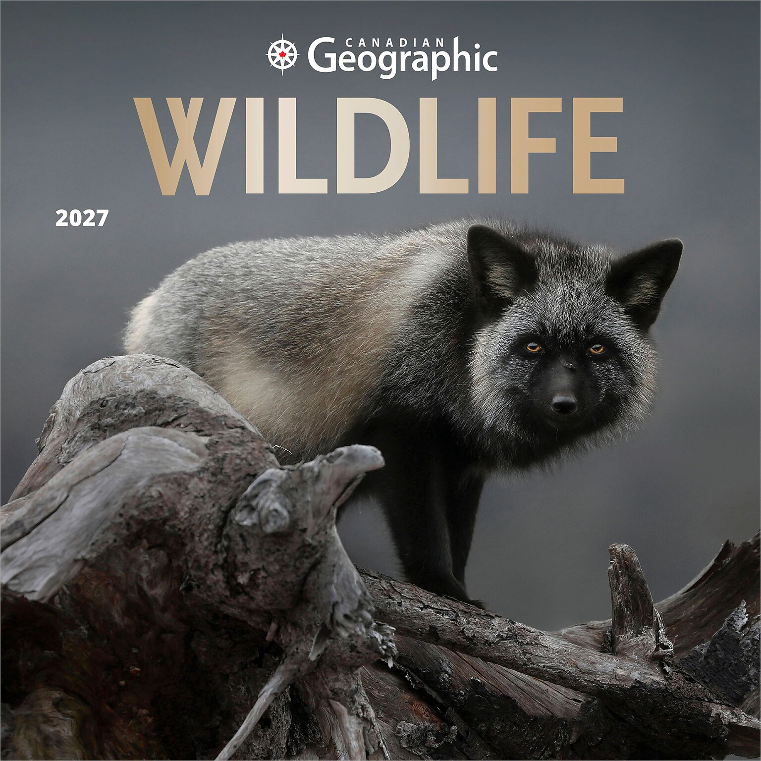 2027 BrownTrout Canadian Geographic Wildlife 12 x 12 Monthly Wall Calendar (9781525617881)