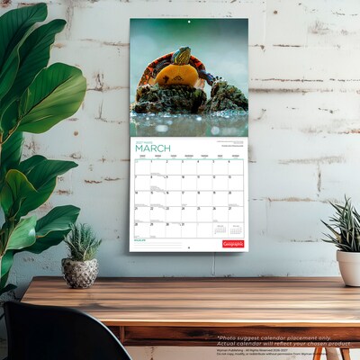 2027 BrownTrout Canadian Geographic Wildlife 12" x 12" Monthly Wall Calendar (9781525617881)