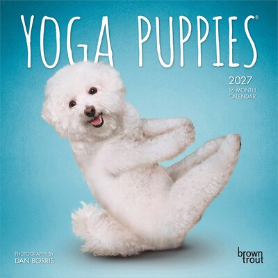 2027 BrownTrout Yoga Puppies 7 x 7 Monthly Wall Calendar (9798330713578)