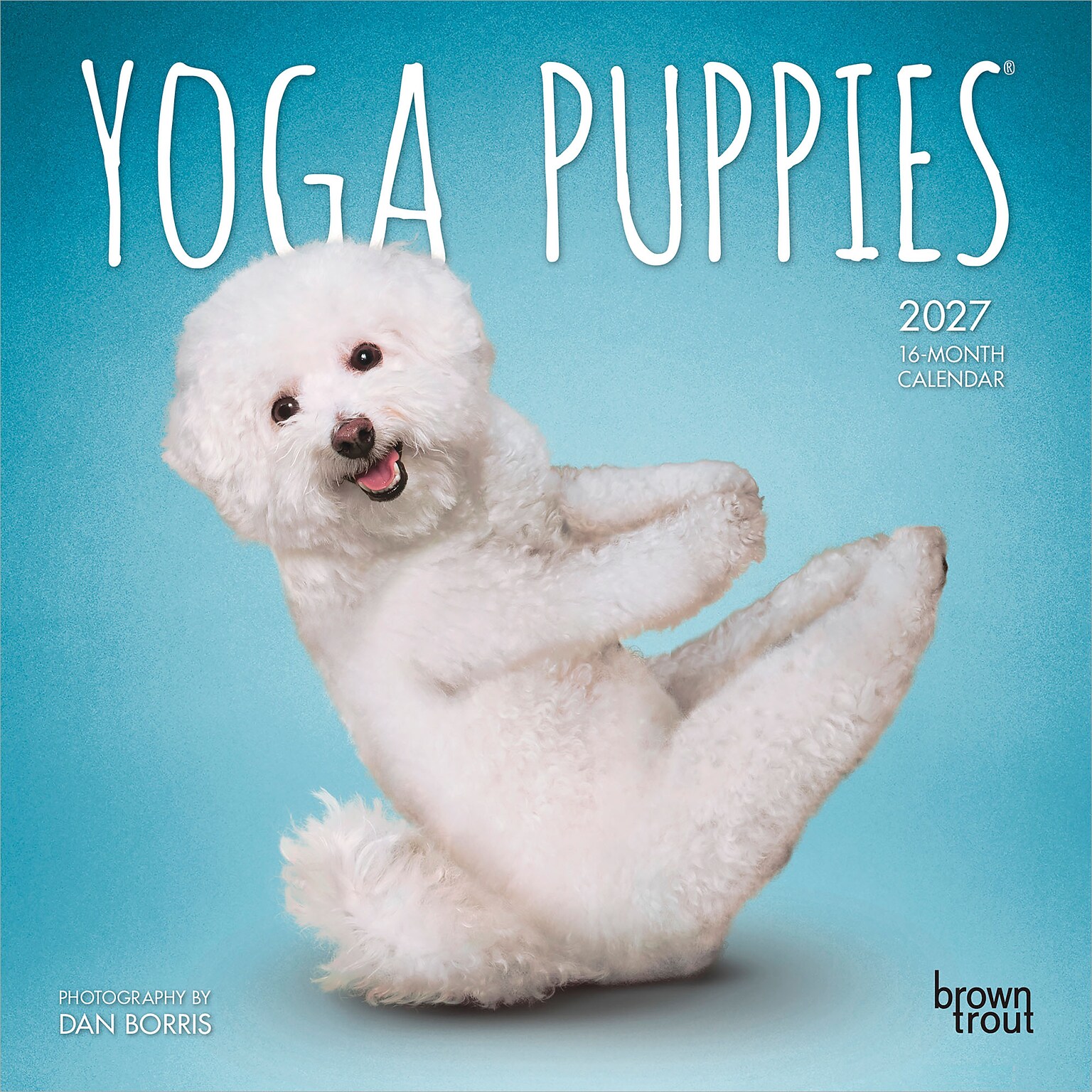 2027 BrownTrout Yoga Puppies 7 x 7 Monthly Wall Calendar (9798330713578)