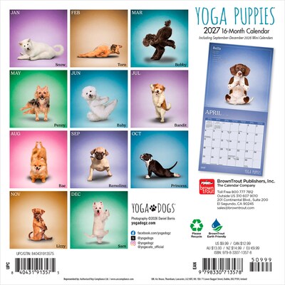 2027 BrownTrout Yoga Puppies 7 x 7 Monthly Wall Calendar (9798330713578)