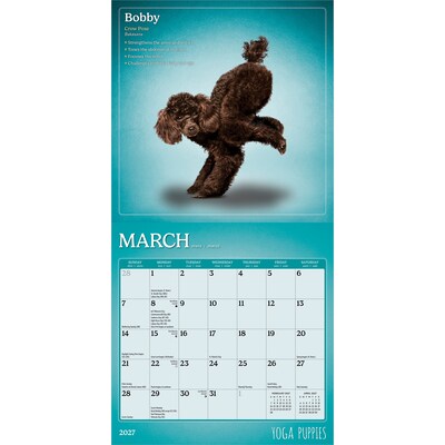 2027 BrownTrout Yoga Puppies 7" x 7" Monthly Wall Calendar (9798330713578)