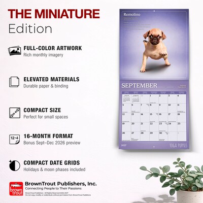 2027 BrownTrout Yoga Puppies 7" x 7" Monthly Wall Calendar (9798330713578)