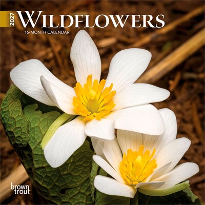 2027 BrownTrout Wildflowers 7 x 7 Monthly Wall Calendar (9798330709618)