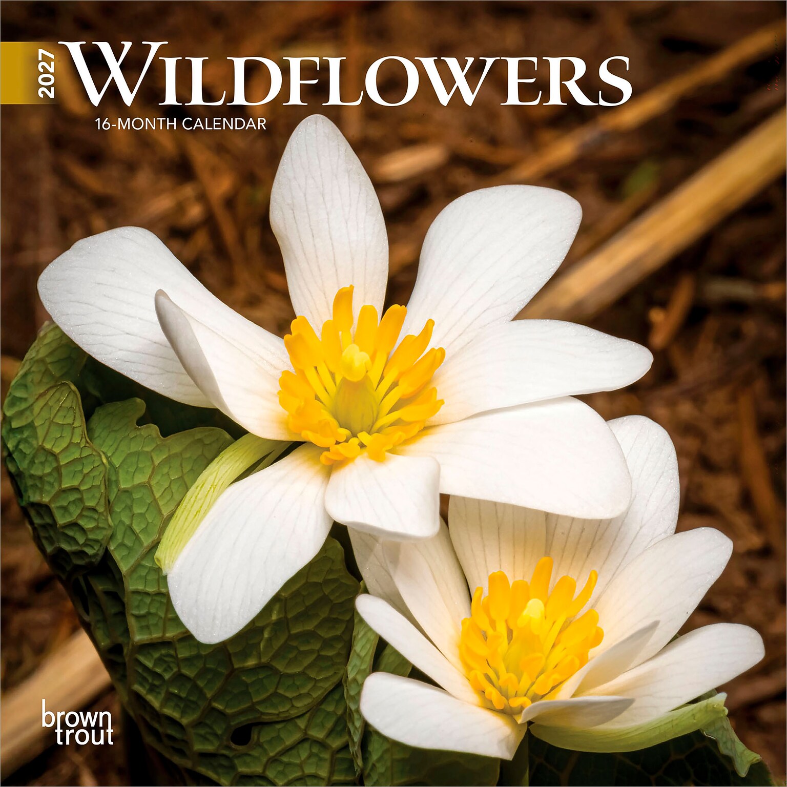 2027 BrownTrout Wildflowers 7 x 7 Monthly Wall Calendar (9798330709618)