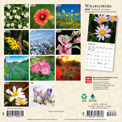 2027 BrownTrout Wildflowers 7 x 7 Monthly Wall Calendar (9798330709618)
