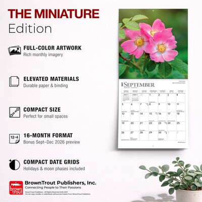 2027 BrownTrout Wildflowers 7" x 7" Monthly Wall Calendar (9798330709618)