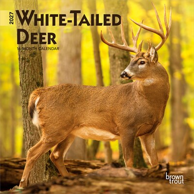 2027 BrownTrout White Tailed Deer 7 x 7 Monthly Wall Calendar (9798330709854)