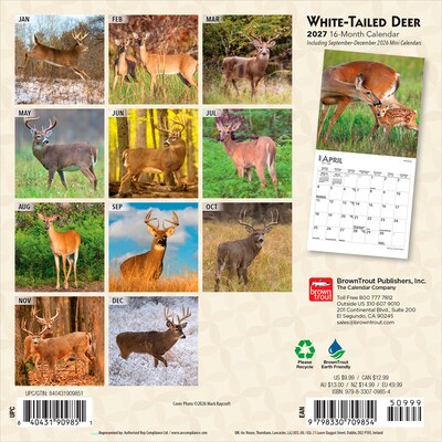 2027 BrownTrout White Tailed Deer 7 x 7 Monthly Wall Calendar (9798330709854)