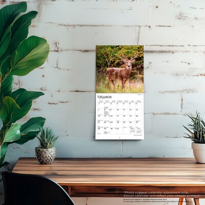 2027 BrownTrout White Tailed Deer 7" x 7" Monthly Wall Calendar (9798330709854)