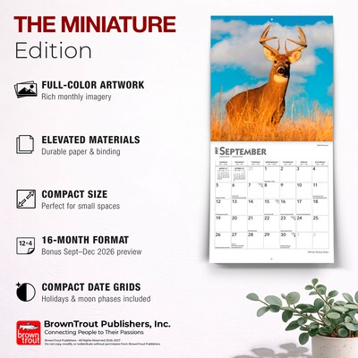 2027 BrownTrout White Tailed Deer 7" x 7" Monthly Wall Calendar (9798330709854)