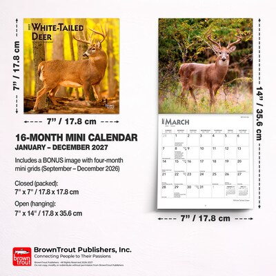 2027 BrownTrout White Tailed Deer 7" x 7" Monthly Wall Calendar (9798330709854)