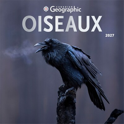 2027 BrownTrout Canadian Geographic Oiseaux 12 x 12 Monthly Wall Calendar (9781525617638)