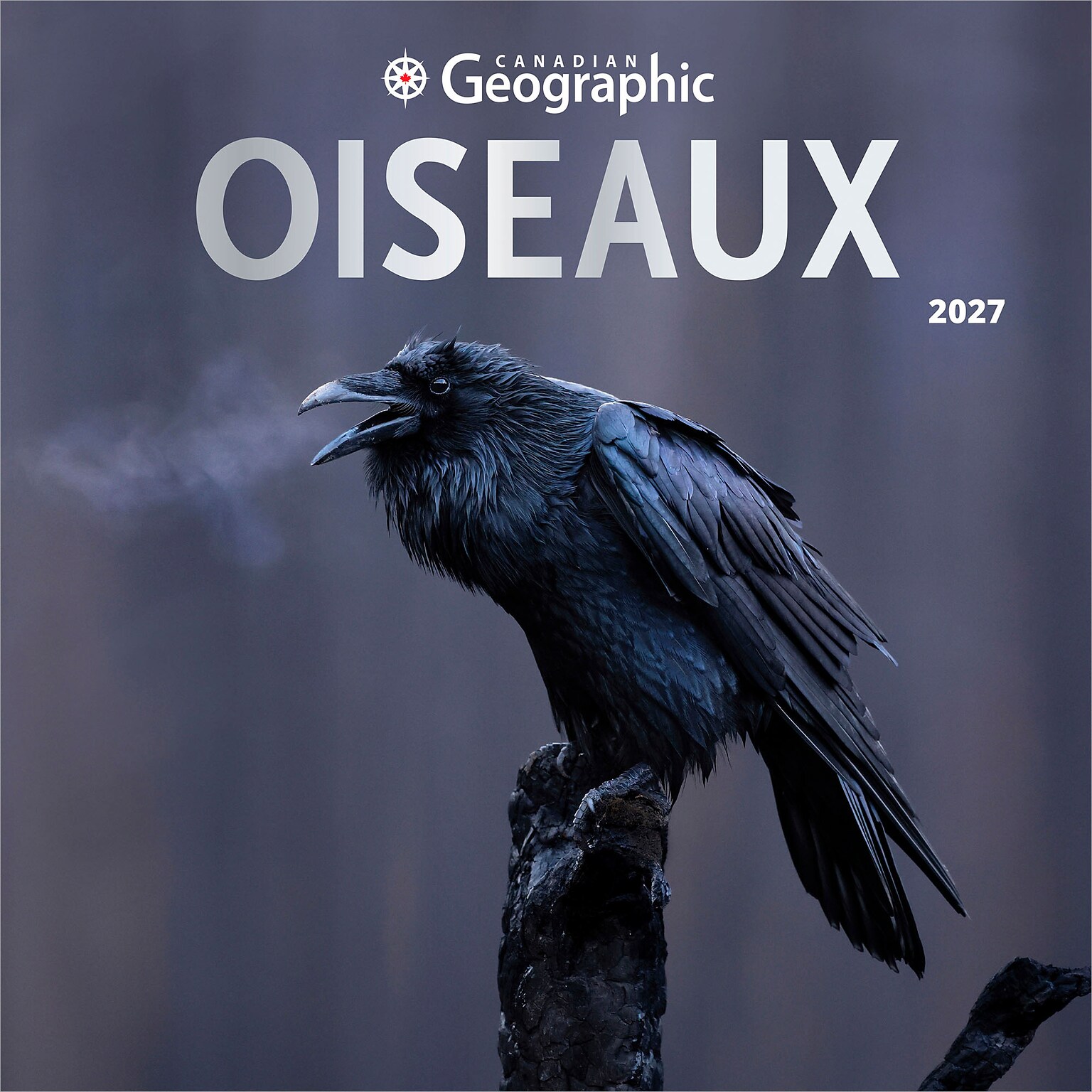 2027 BrownTrout Canadian Geographic Oiseaux 12 x 12 Monthly Wall Calendar (9781525617638)
