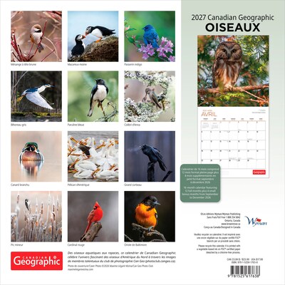 2027 BrownTrout Canadian Geographic Oiseaux 12 x 12 Monthly Wall Calendar (9781525617638)