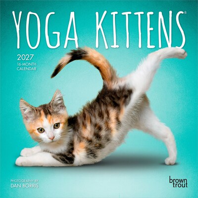 2027 BrownTrout Yoga Kittens 7 x 7 Monthly Wall Calendar (9798330713530)