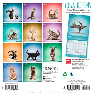 2027 BrownTrout Yoga Kittens 7 x 7 Monthly Wall Calendar (9798330713530)