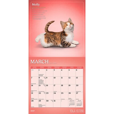 2027 BrownTrout Yoga Kittens 7" x 7" Monthly Wall Calendar (9798330713530)