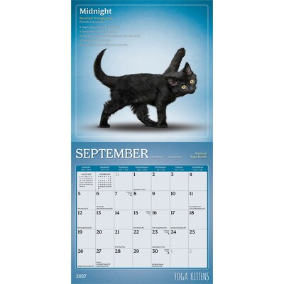 2027 BrownTrout Yoga Kittens 7" x 7" Monthly Wall Calendar (9798330713530)