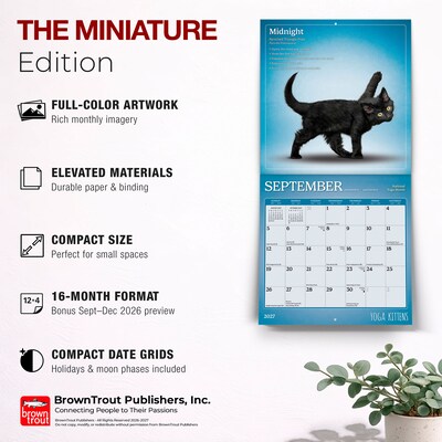 2027 BrownTrout Yoga Kittens 7" x 7" Monthly Wall Calendar (9798330713530)