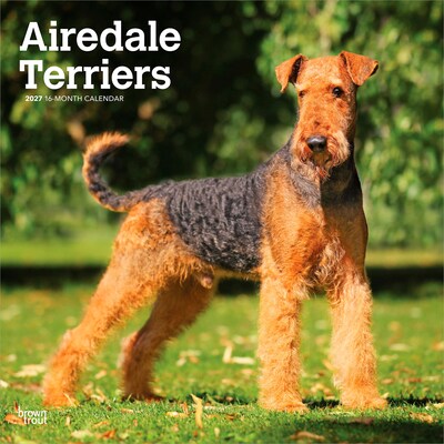 2027 BrownTrout Airedale Terriers 12 x 12 Monthly Wall Calendar (9798330714049)