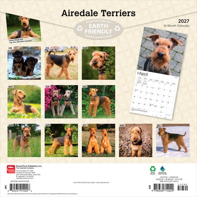 2027 BrownTrout Airedale Terriers 12 x 12 Monthly Wall Calendar (9798330714049)