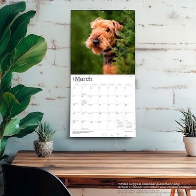 2027 BrownTrout Airedale Terriers 12" x 12" Monthly Wall Calendar (9798330714049)