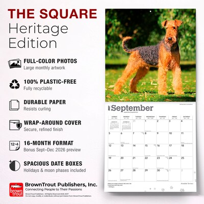 2027 BrownTrout Airedale Terriers 12" x 12" Monthly Wall Calendar (9798330714049)