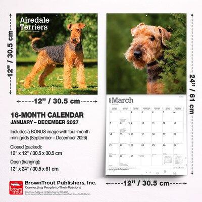 2027 BrownTrout Airedale Terriers 12" x 12" Monthly Wall Calendar (9798330714049)