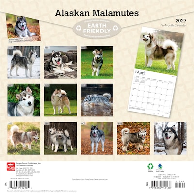 2027 BrownTrout Alaskan Malamutes 12 x 12 Monthly Wall Calendar (9798330712168)