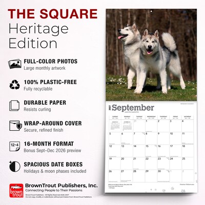 2027 BrownTrout Alaskan Malamutes 12" x 12" Monthly Wall Calendar (9798330712168)