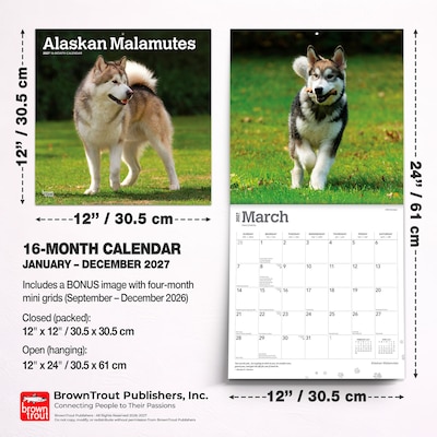 2027 BrownTrout Alaskan Malamutes 12" x 12" Monthly Wall Calendar (9798330712168)