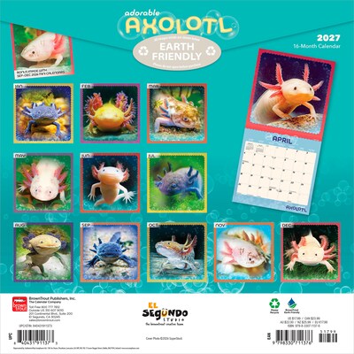 2027 BrownTrout Adorable Axolotl 12 x 12 Monthly Wall Calendar (9798330711376)