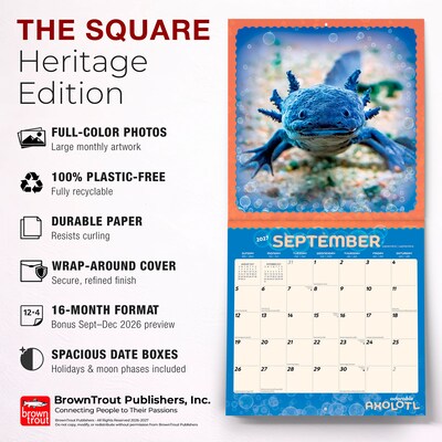 2027 BrownTrout Adorable Axolotl 12" x 12" Monthly Wall Calendar (9798330711376)