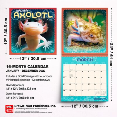 2027 BrownTrout Adorable Axolotl 12" x 12" Monthly Wall Calendar (9798330711376)