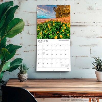 2027 BrownTrout America 12" x 12" Monthly Wall Calendar (9798330710300)