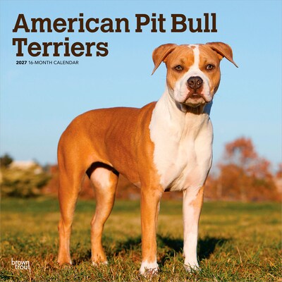 2027 BrownTrout American Pit Bull Terriers 12 x 12 Monthly Wall Calendar (9798330712175)