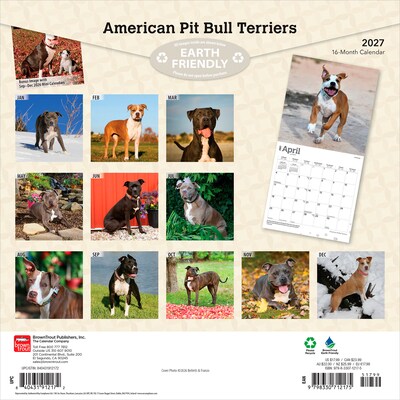 2027 BrownTrout American Pit Bull Terriers 12 x 12 Monthly Wall Calendar (9798330712175)