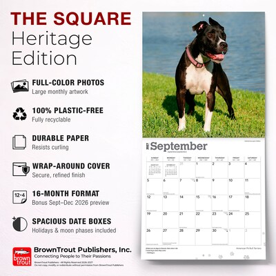 2027 BrownTrout American Pit Bull Terriers 12" x 12" Monthly Wall Calendar (9798330712175)