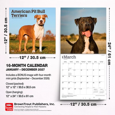 2027 BrownTrout American Pit Bull Terriers 12" x 12" Monthly Wall Calendar (9798330712175)